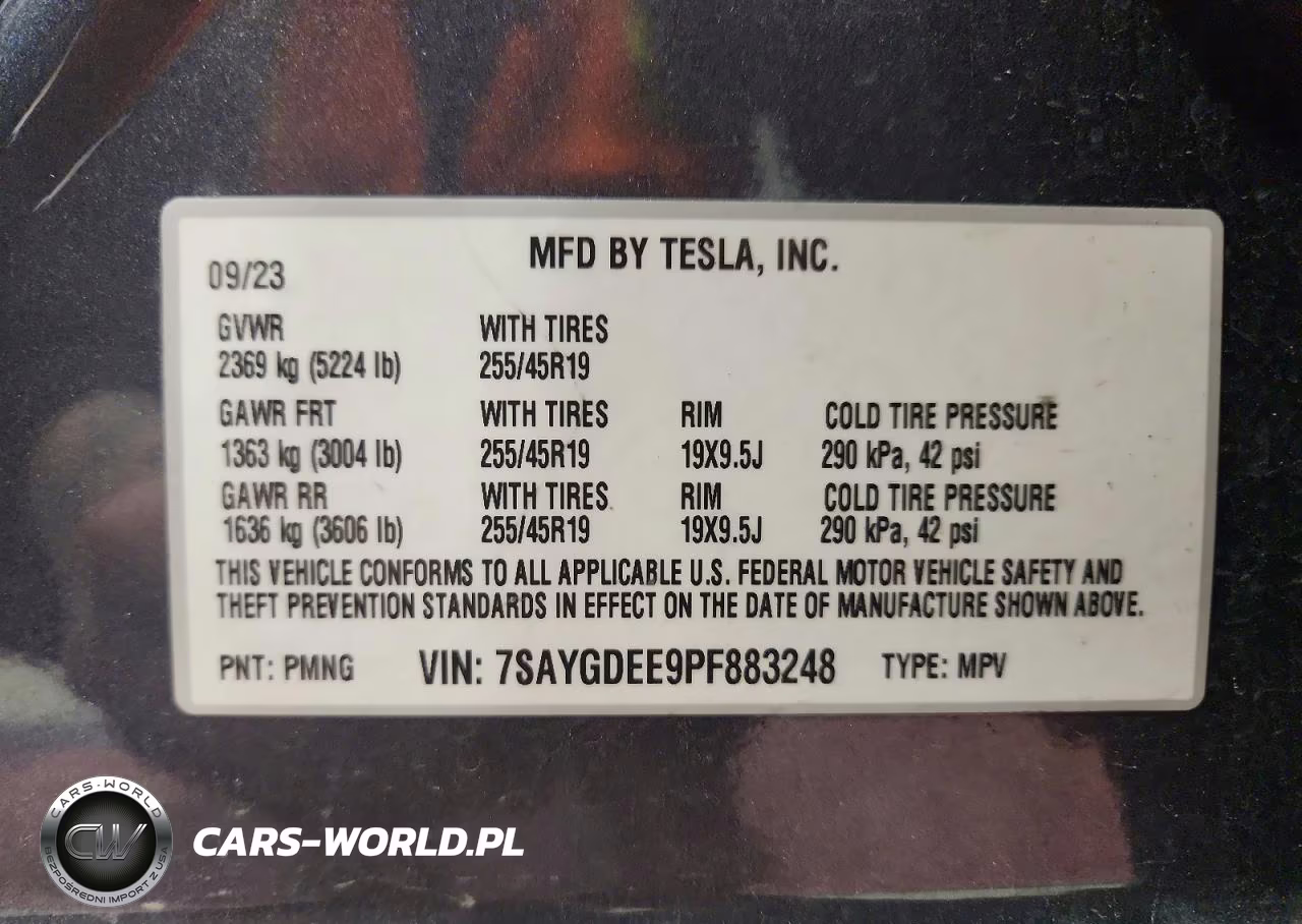 2023 Tesla Model Y VIN:7SAYGDEE9PF883248 - 12