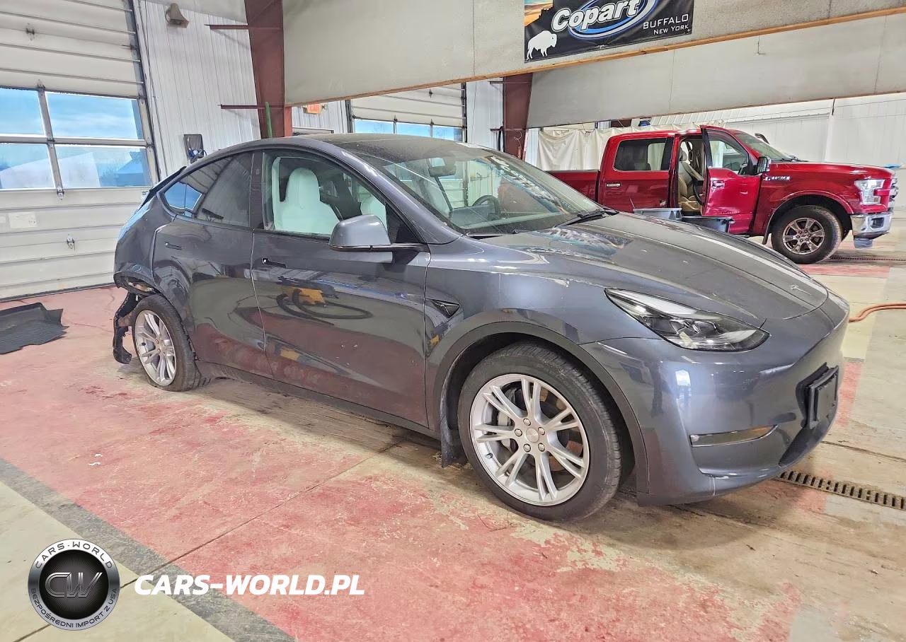 2023 Tesla Model Y VIN:7SAYGDEE9PF883248 - 4
