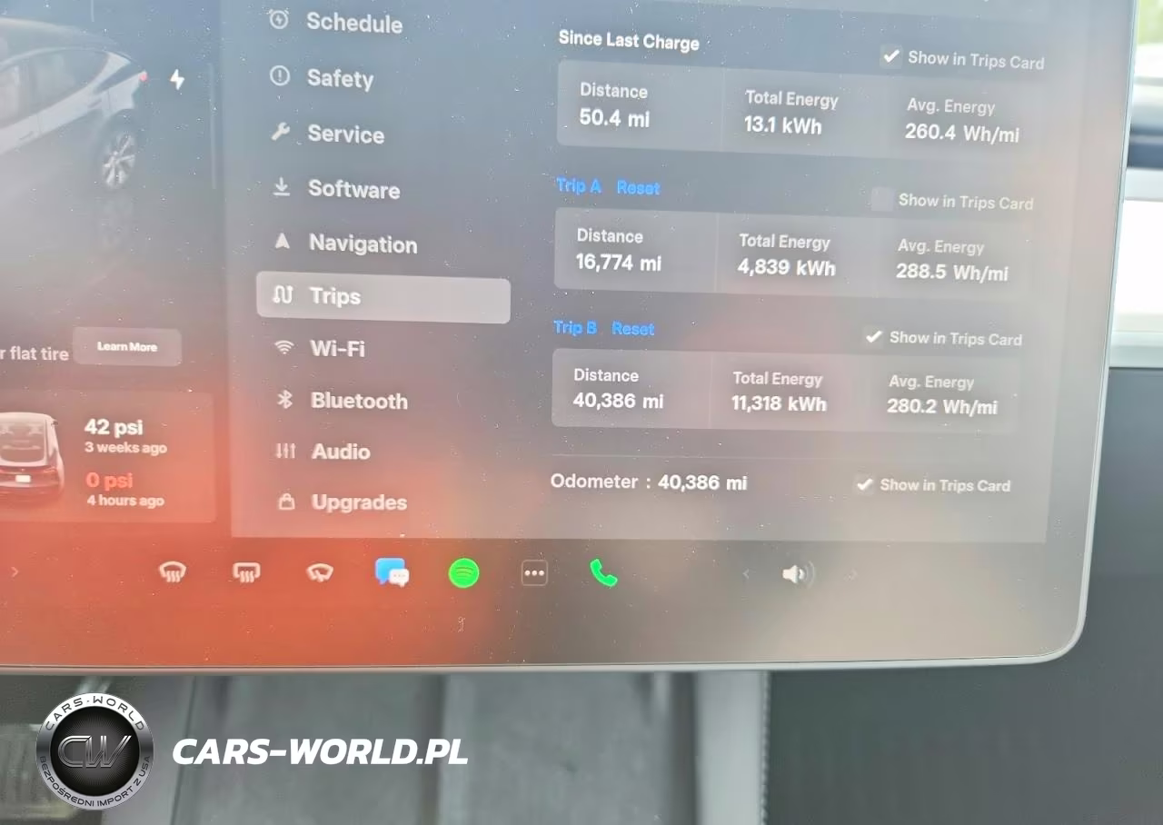 2023 Tesla Model Y VIN:7SAYGDEE9PF883248 - 9