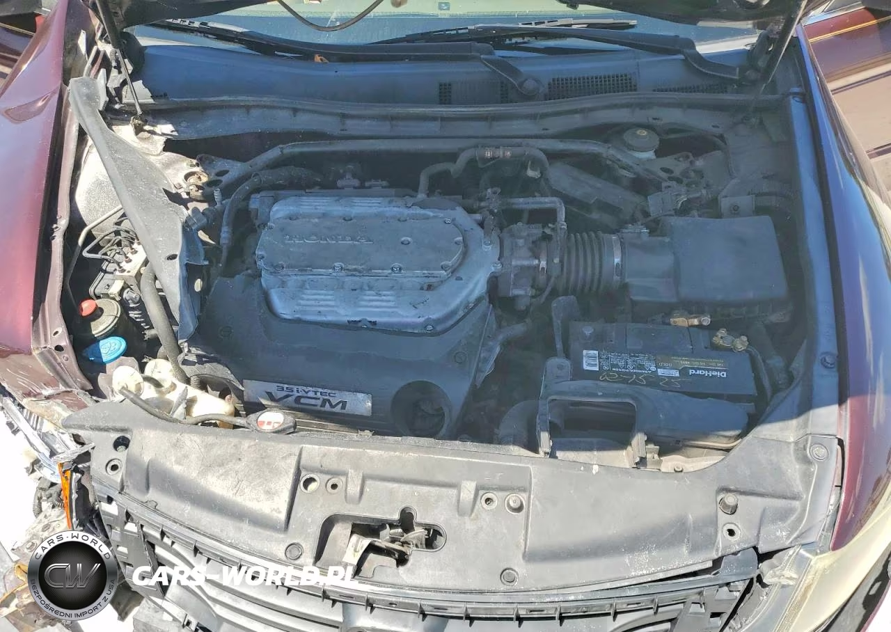 2010 Honda Accord Exl VIN:5KBCP3F81AB009477 - 11