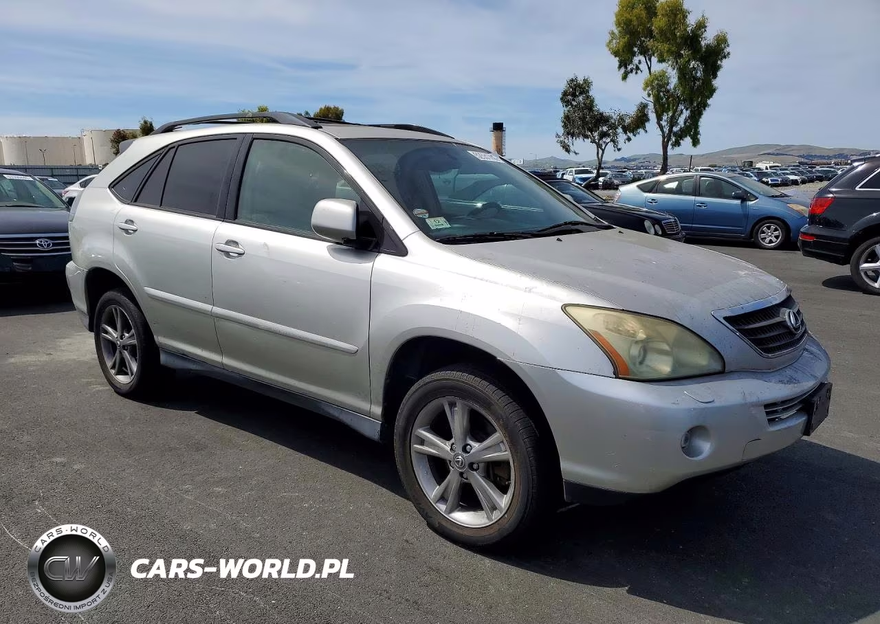 2006 Lexus Rx 400 VIN:JTJHW31U760017047 - 4