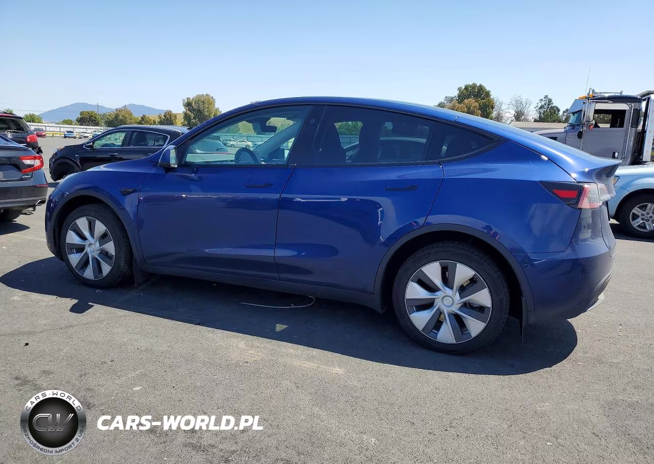 2023 Tesla Model Y VIN:7SAYGDEE6PF836484 - 2
