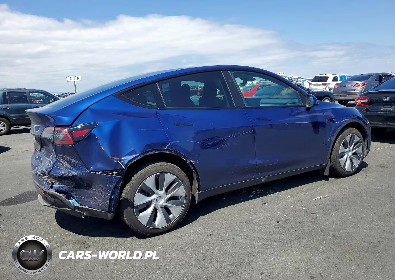 2023 Tesla Model Y VIN:7SAYGDEE6PF836484 - 3