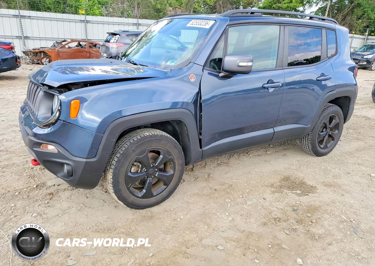 2019 Jeep Renegade Trailhawk – zdjęcie 1 z 13