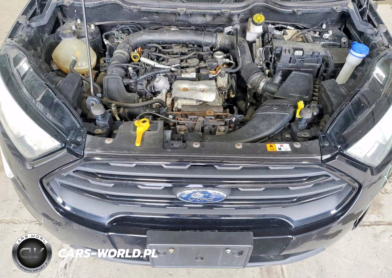 2018 Ford Ecosport S VIN:MAJ3P1RE8JC183764 - 11
