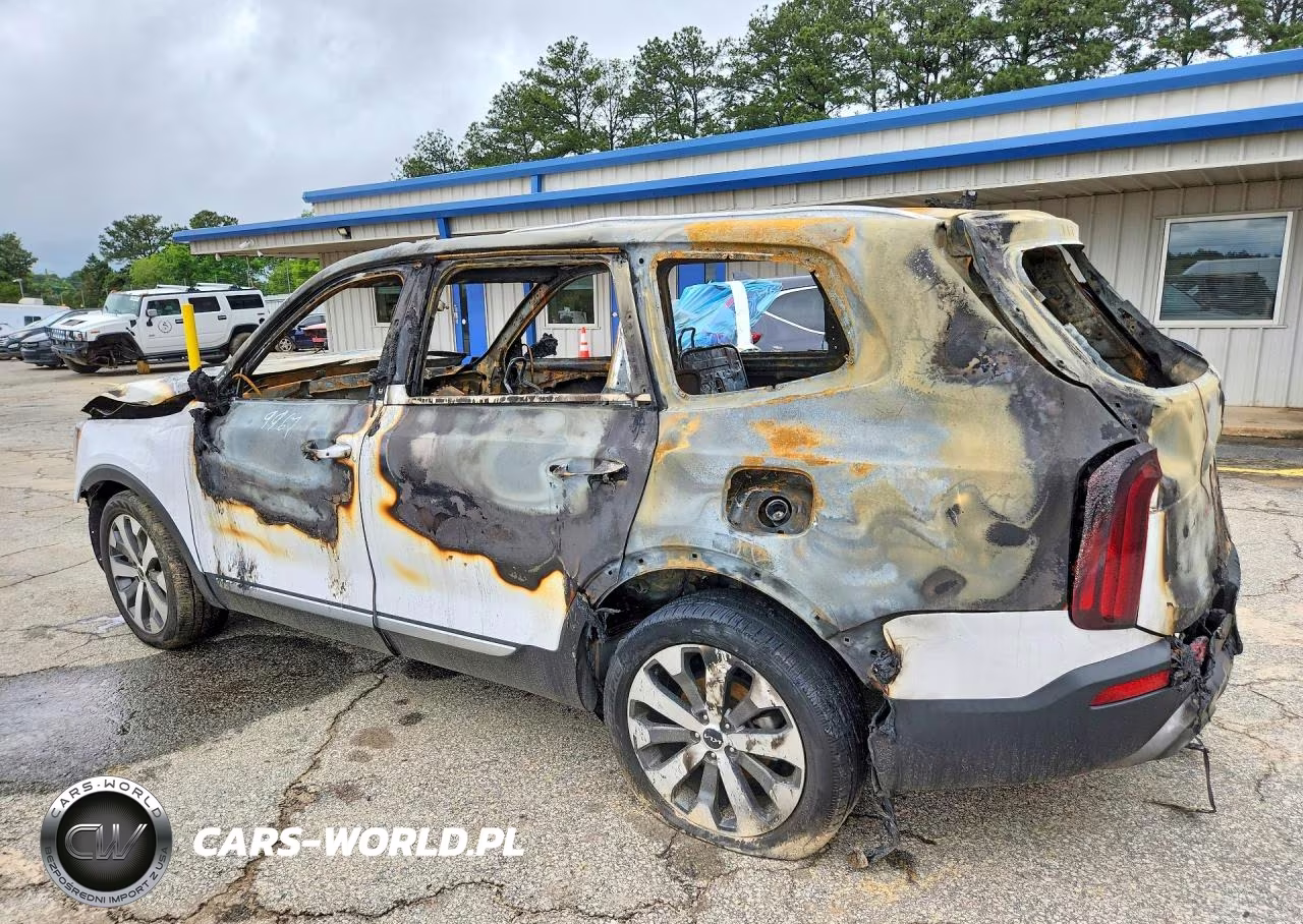 2022 Kia Telluride S VIN:5XYP6DHC0NG319967 - 2