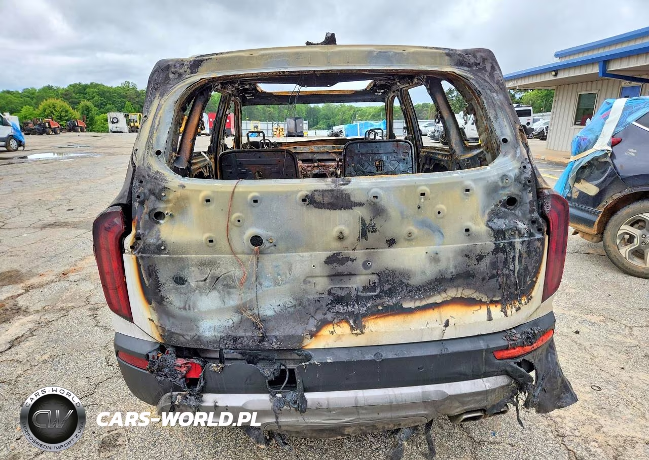 2022 Kia Telluride S VIN:5XYP6DHC0NG319967 - 6