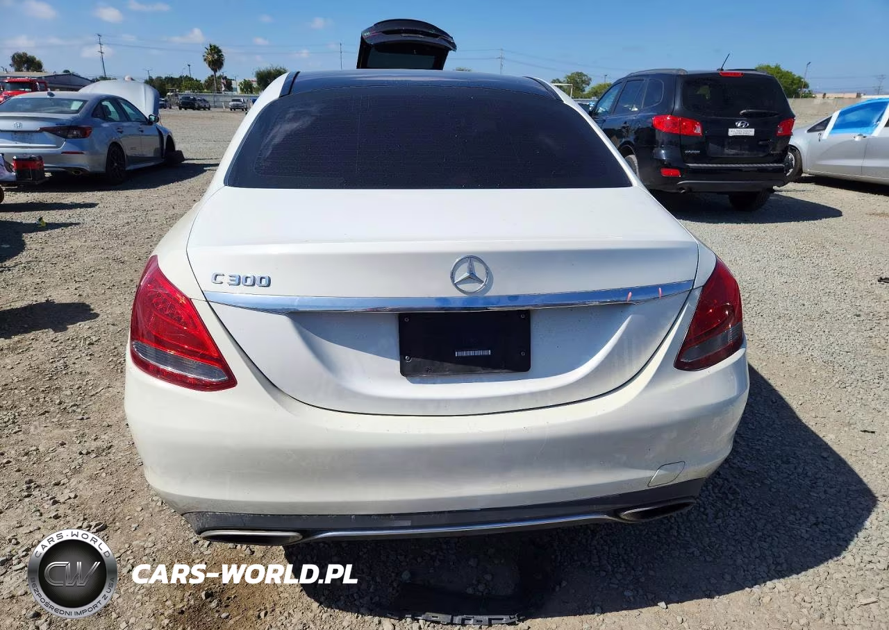 2017 Mercedes-Benz C 300 VIN:55SWF4JB4HU201654 - 6