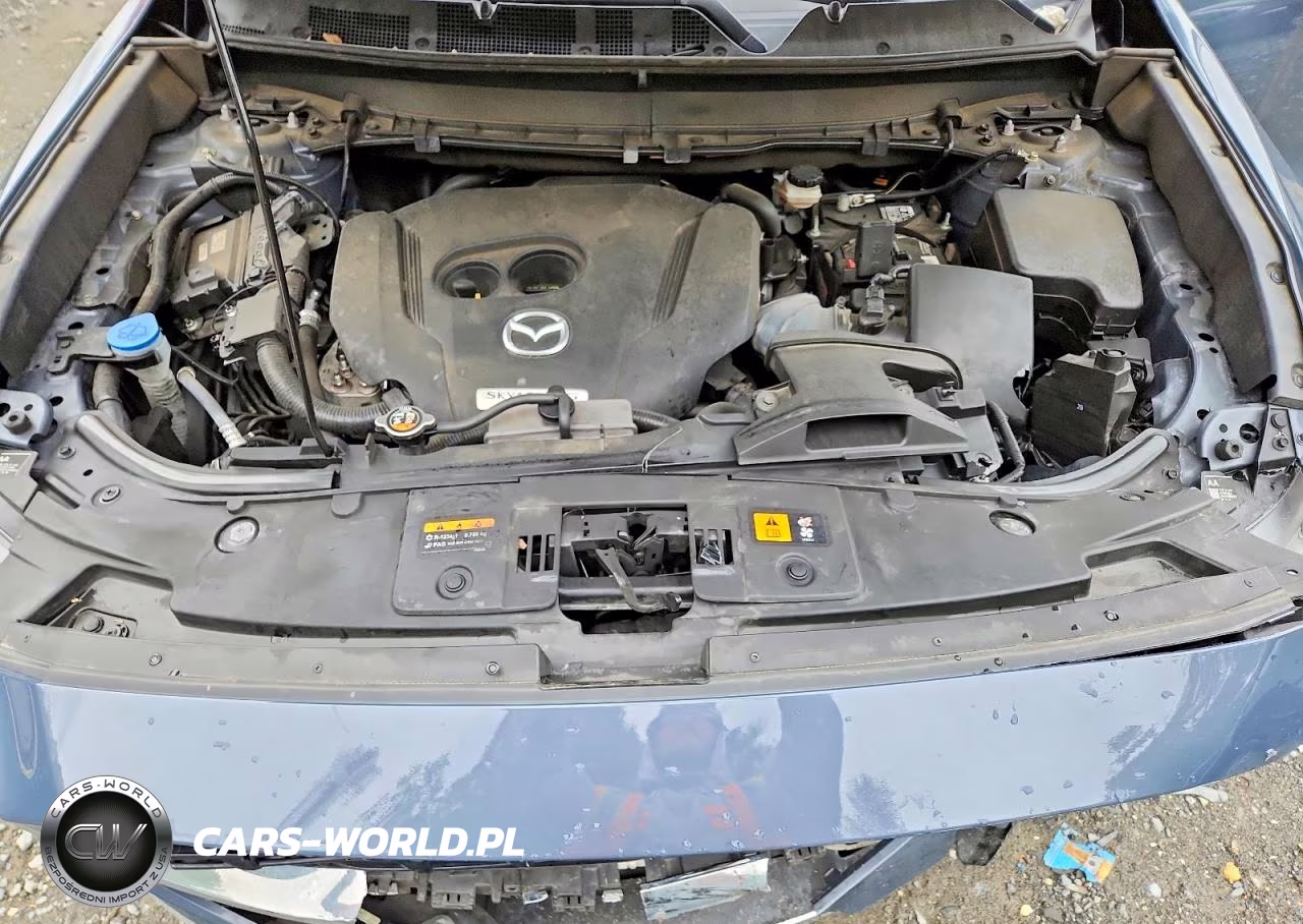 2022 Mazda Cx-9 Grand Touring VIN:JM3TCBDY2N0616703 - 12