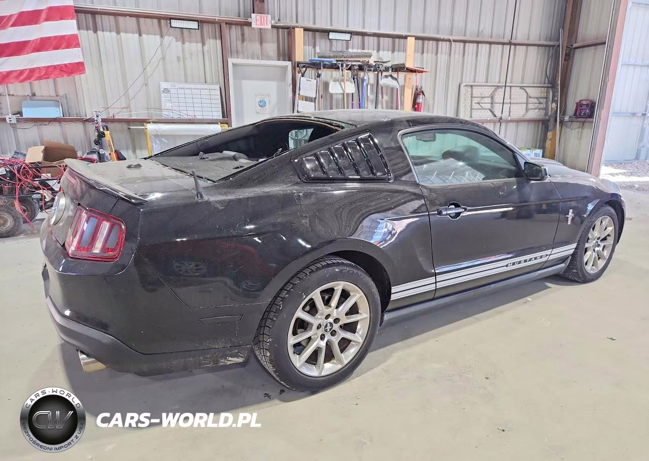 2010 Ford Mustang VIN:1ZVBP8AN9A5135217 - 3