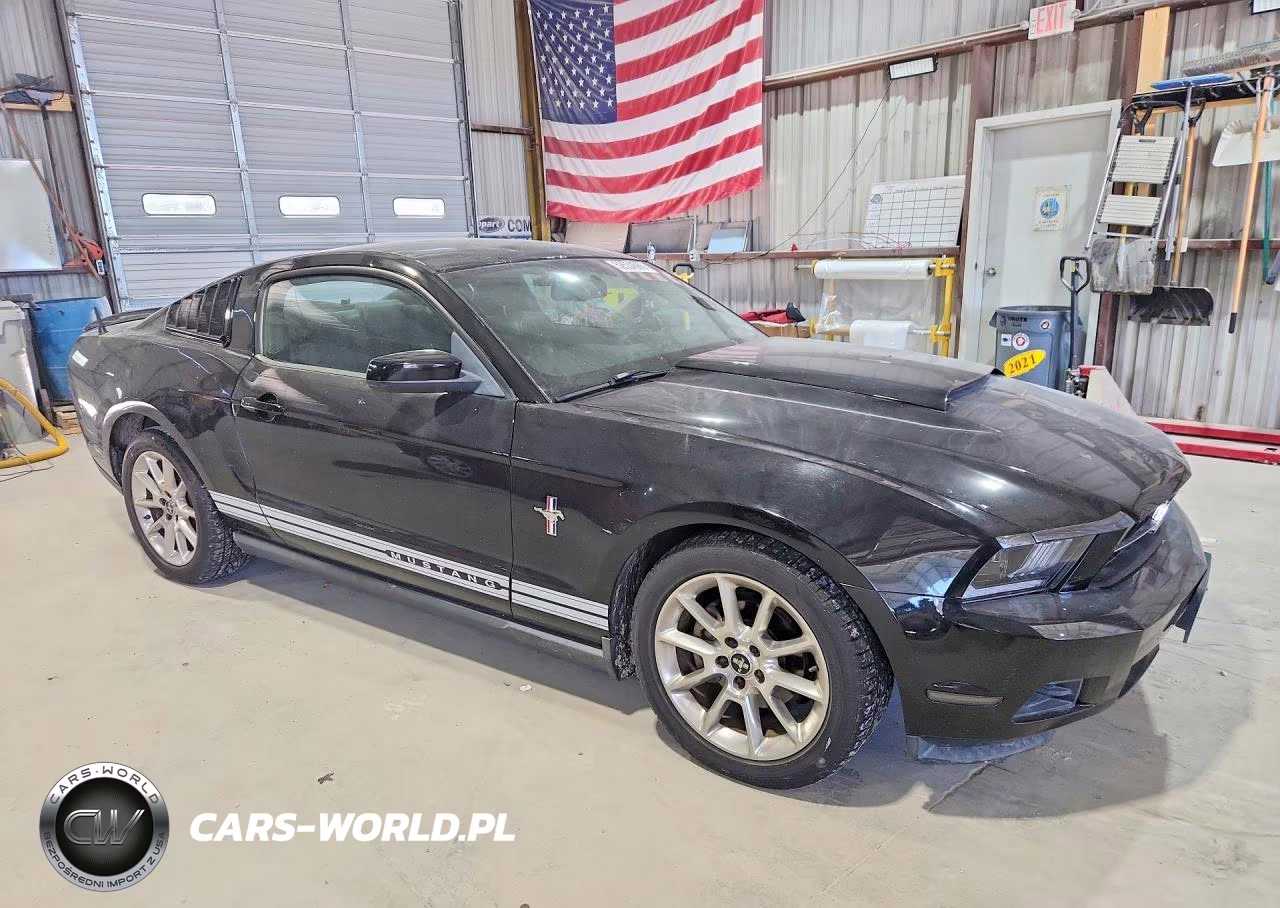 2010 Ford Mustang VIN:1ZVBP8AN9A5135217 - 4