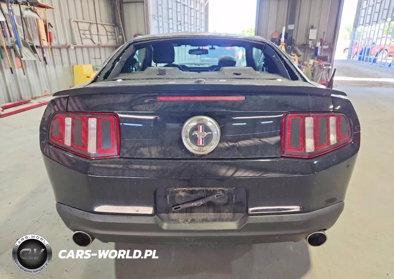 2010 Ford Mustang VIN:1ZVBP8AN9A5135217 - 6