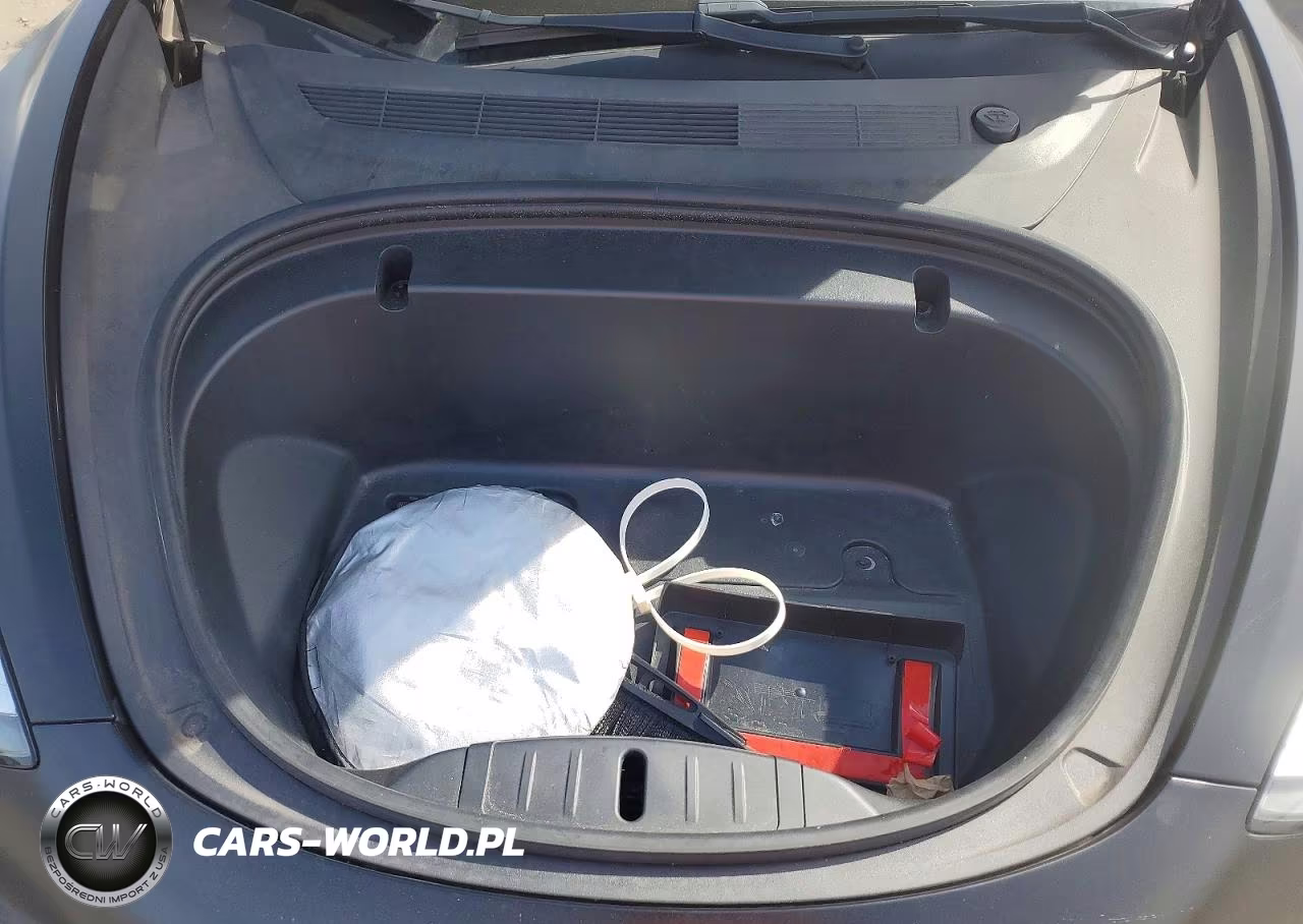 2020 Tesla Model 3 VIN:5YJ3E1EC6LF713143 - 11
