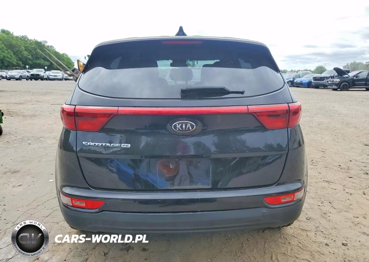 2019 Kia Sportage Lx VIN:KNDPM3AC8K7548822 - 6