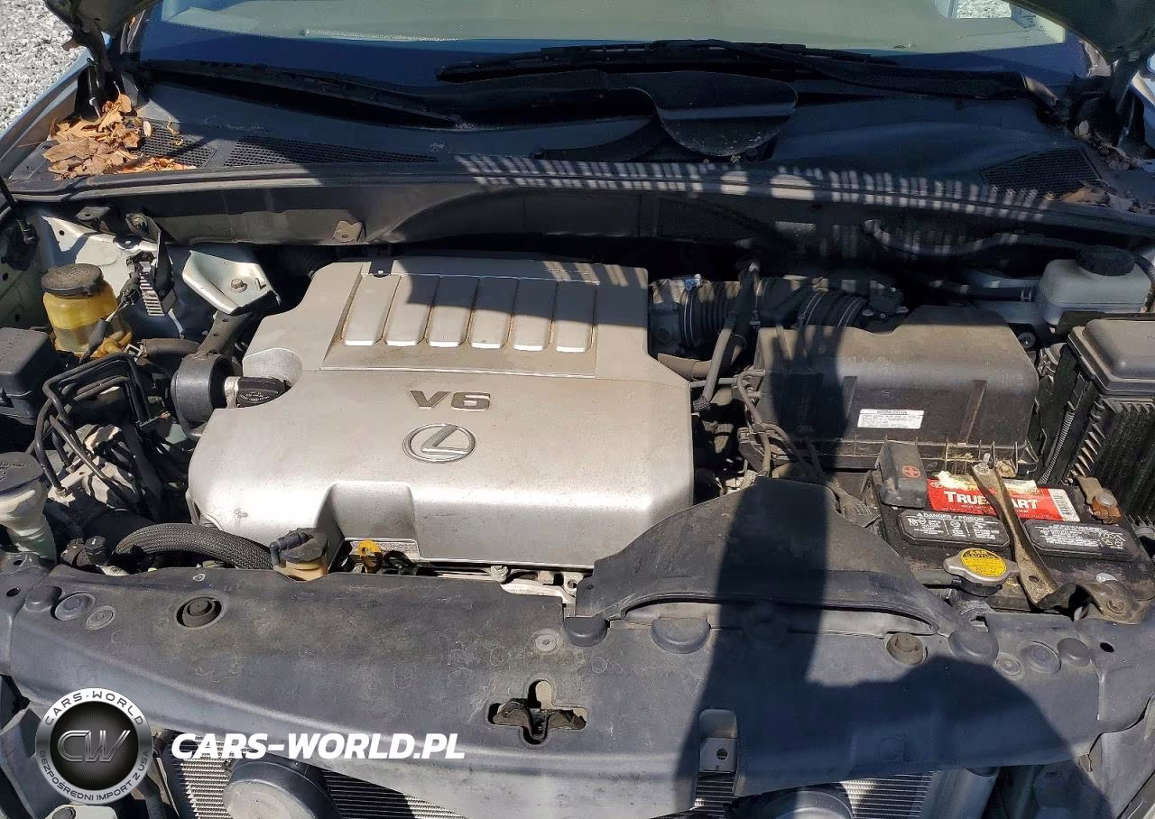 2007 Lexus Rx 350 VIN:2T2HK31U97C023868 - 12