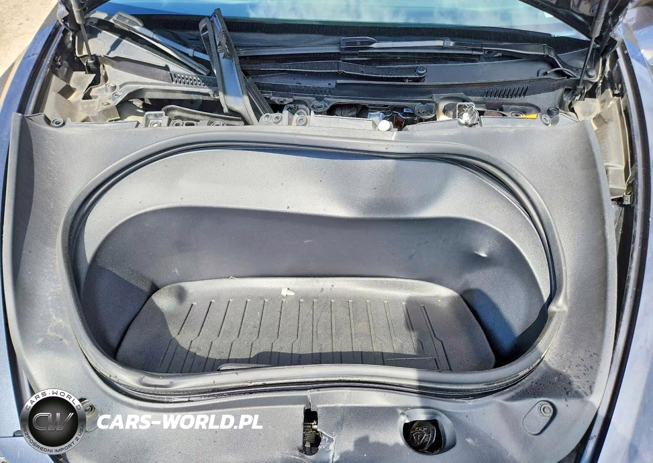 2025 Tesla Model 3 VIN:5YJ3E1EA7SF992650 - 11