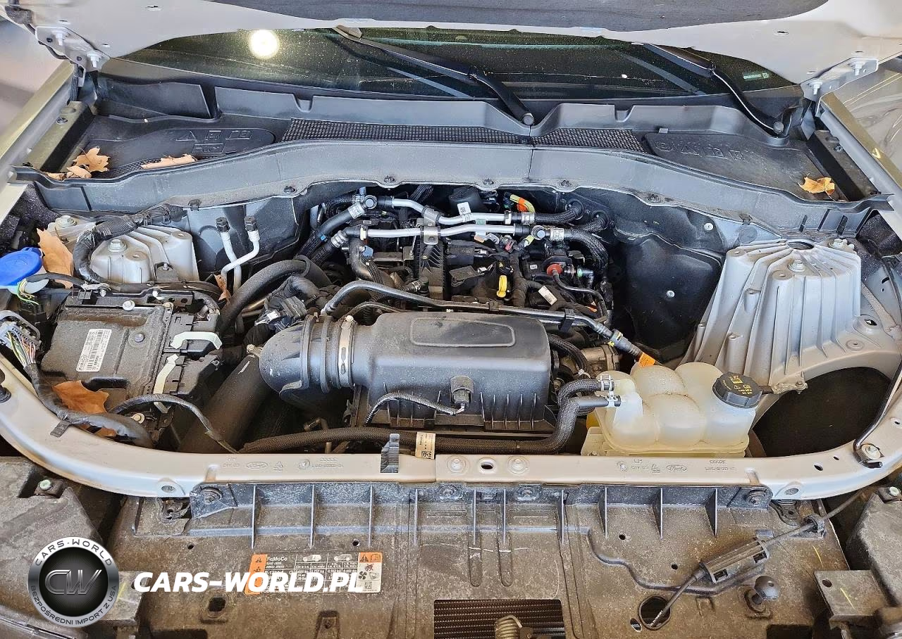 2024 Ford Explorer Timberline VIN:1FMSK8JH2RGA55832 - 12