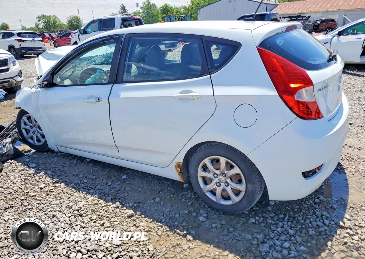 2013 Hyundai Accent Gs VIN:KMHCT5AEXDU063550 - 2