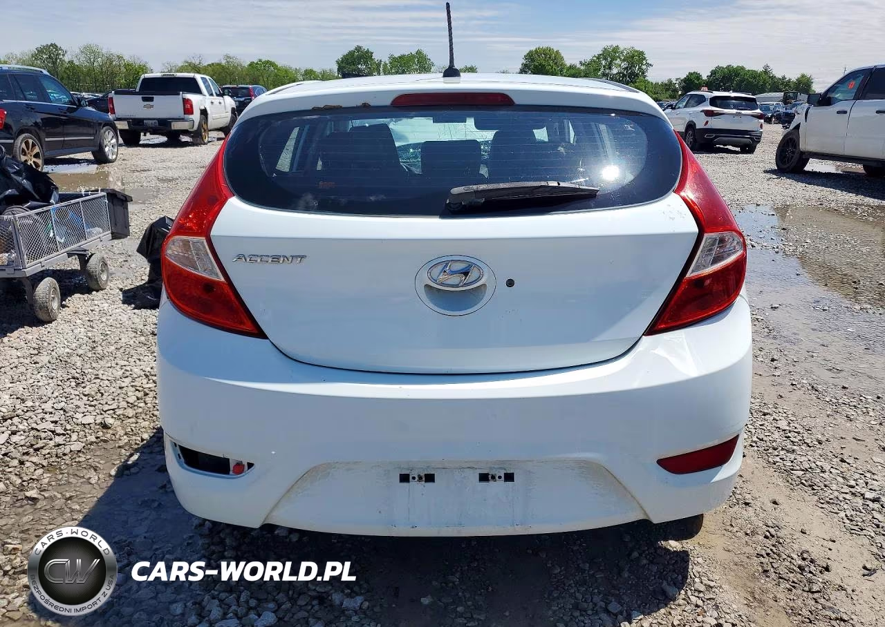 2013 Hyundai Accent Gs VIN:KMHCT5AEXDU063550 - 6