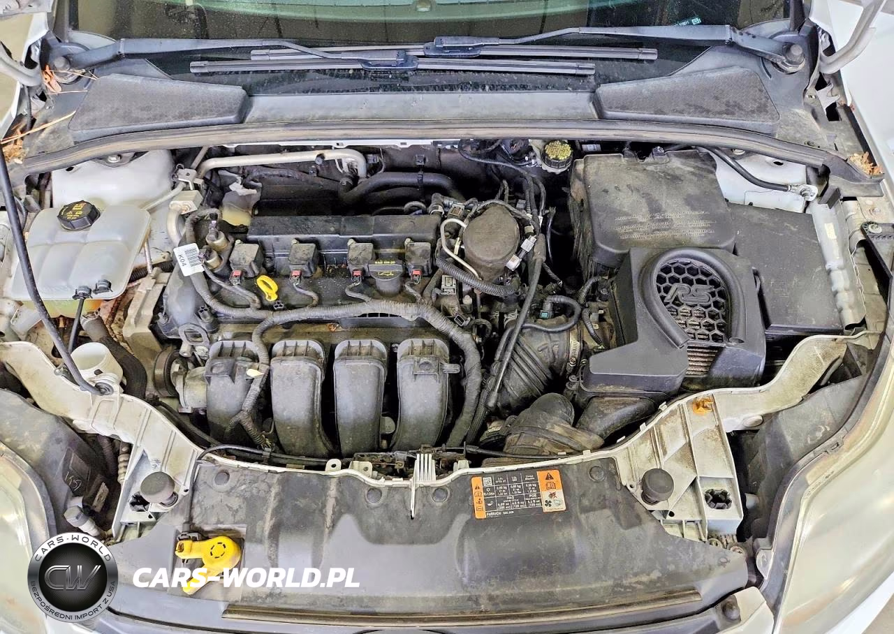2014 Ford Focus Se VIN:1FADP3K22EL320011 - 11