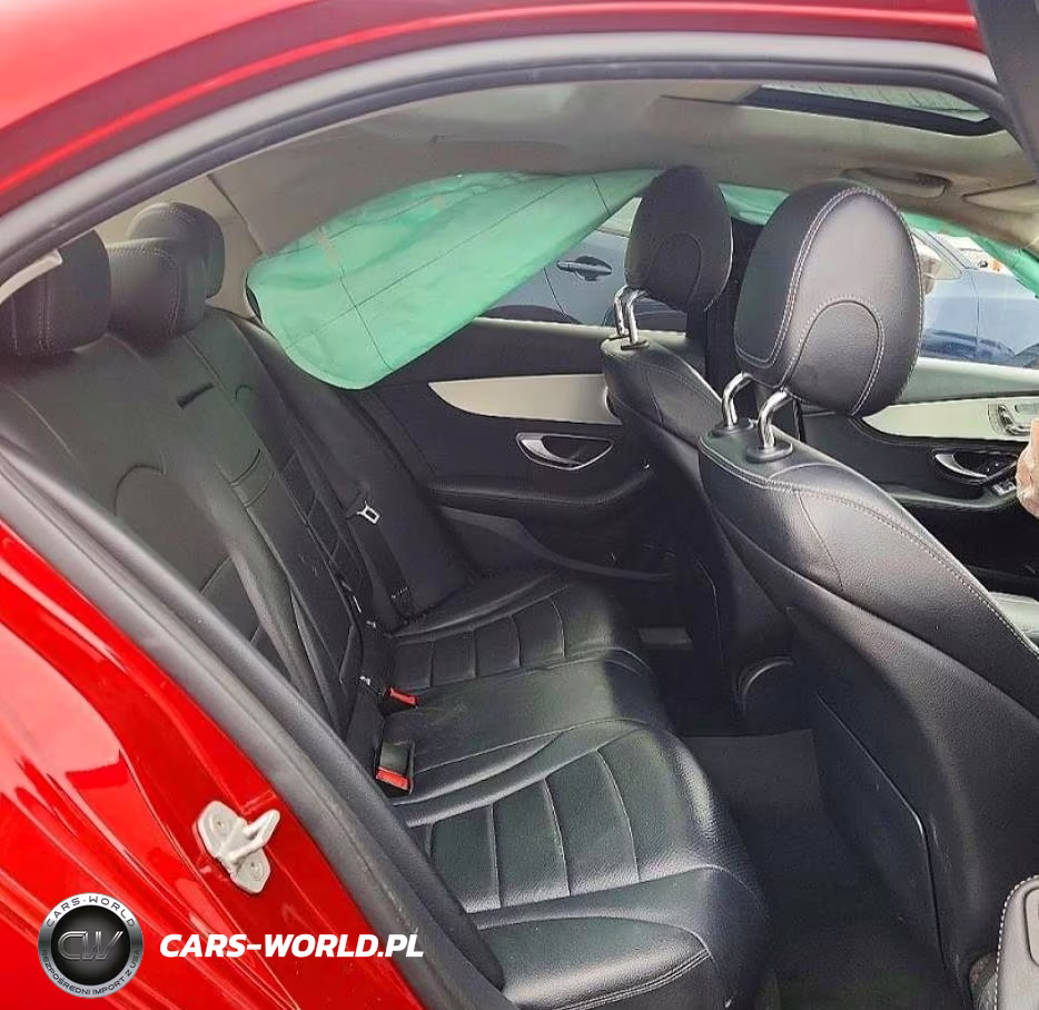 2016 Mercedes-Benz C 300 VIN:55SWF4JB3GU118893 - 10
