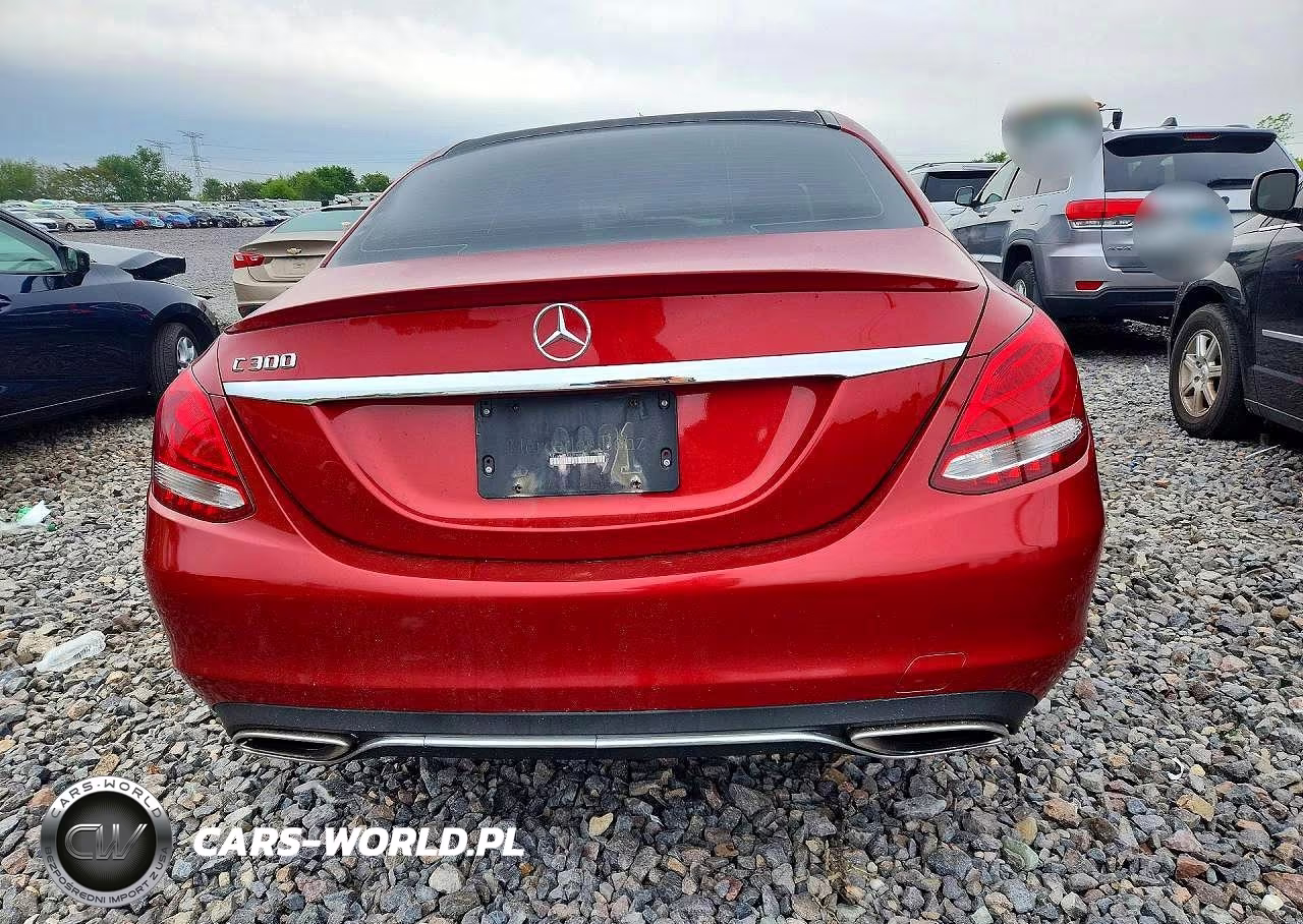 2016 Mercedes-Benz C 300 VIN:55SWF4JB3GU118893 - 6