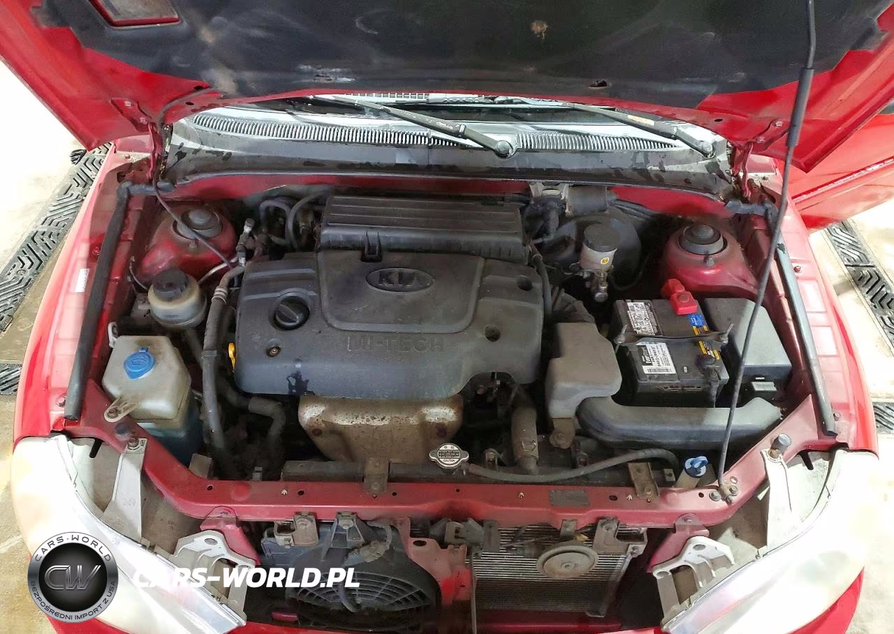 2002 Kia Rio Base VIN:KNADC123126175702 - 11