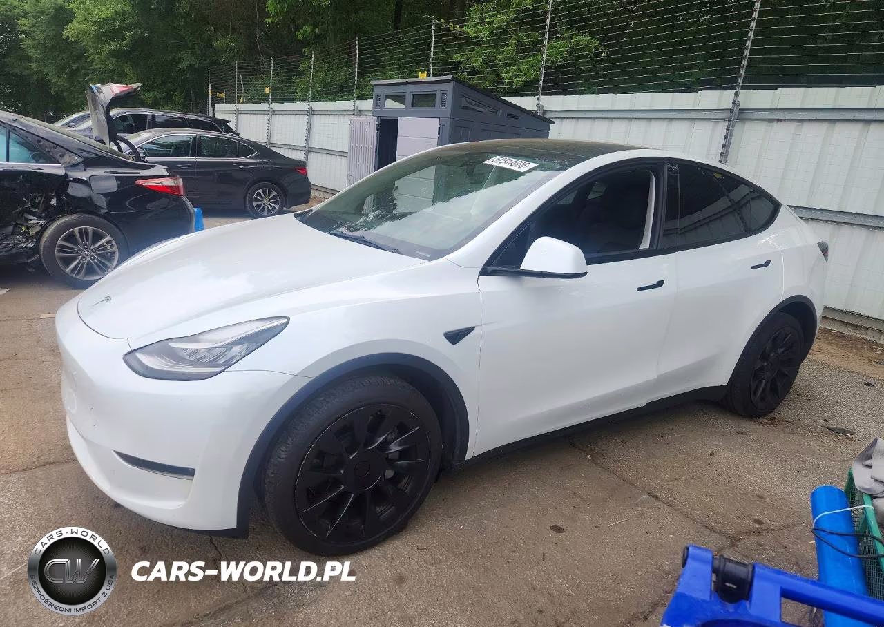 2023 Tesla Model Y VIN:7SAYGDEE7PA036161 - 1