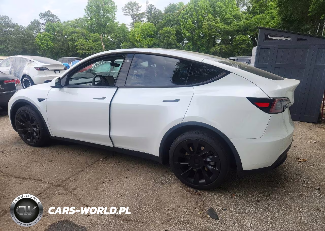 2023 Tesla Model Y VIN:7SAYGDEE7PA036161 - 2
