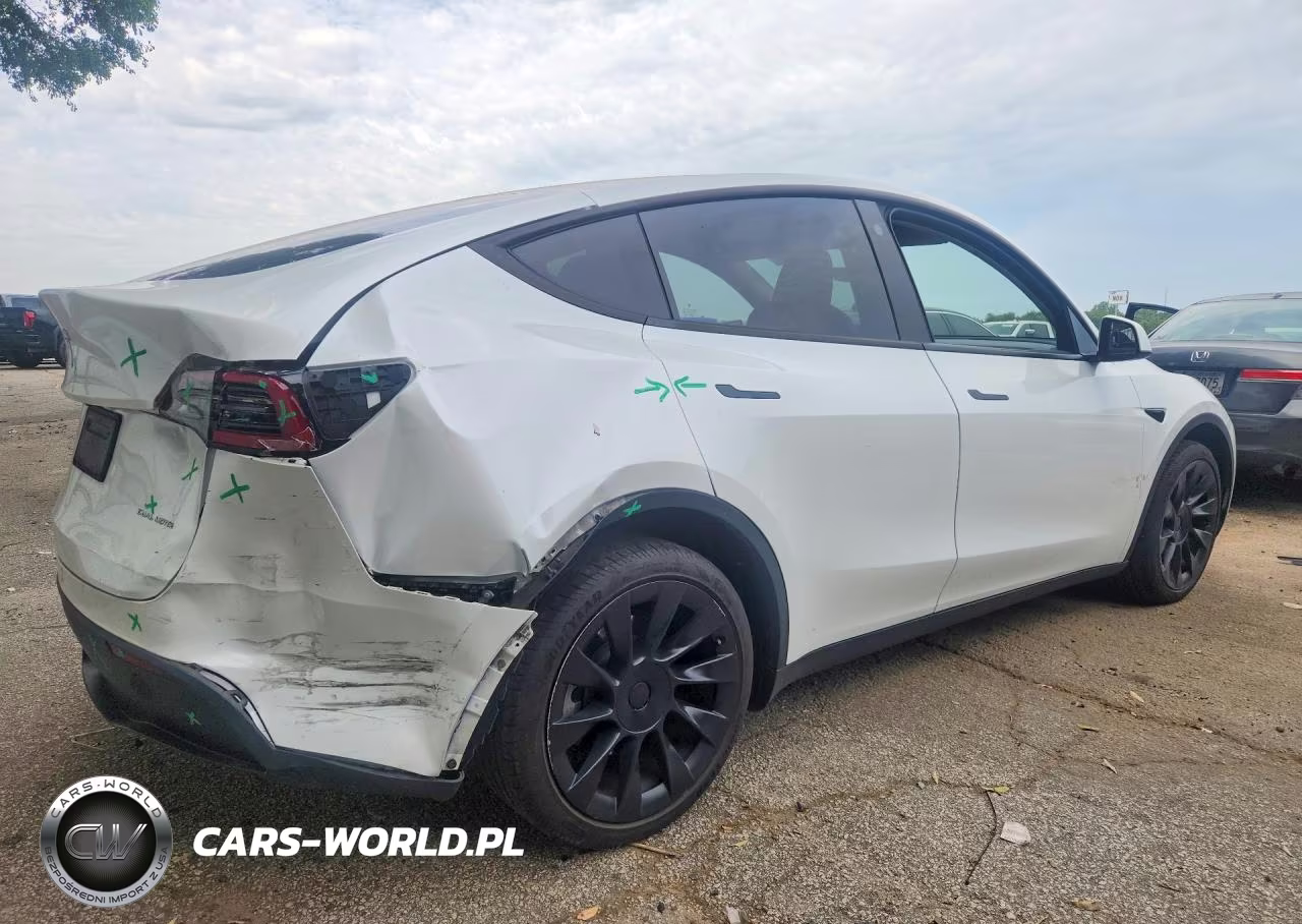 2023 Tesla Model Y VIN:7SAYGDEE7PA036161 - 3