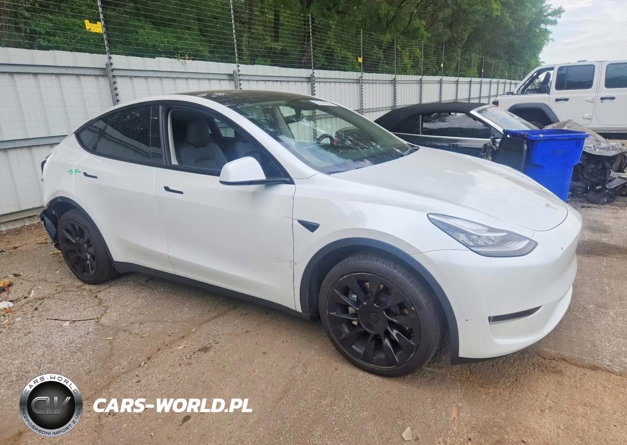 2023 Tesla Model Y VIN:7SAYGDEE7PA036161 - 4