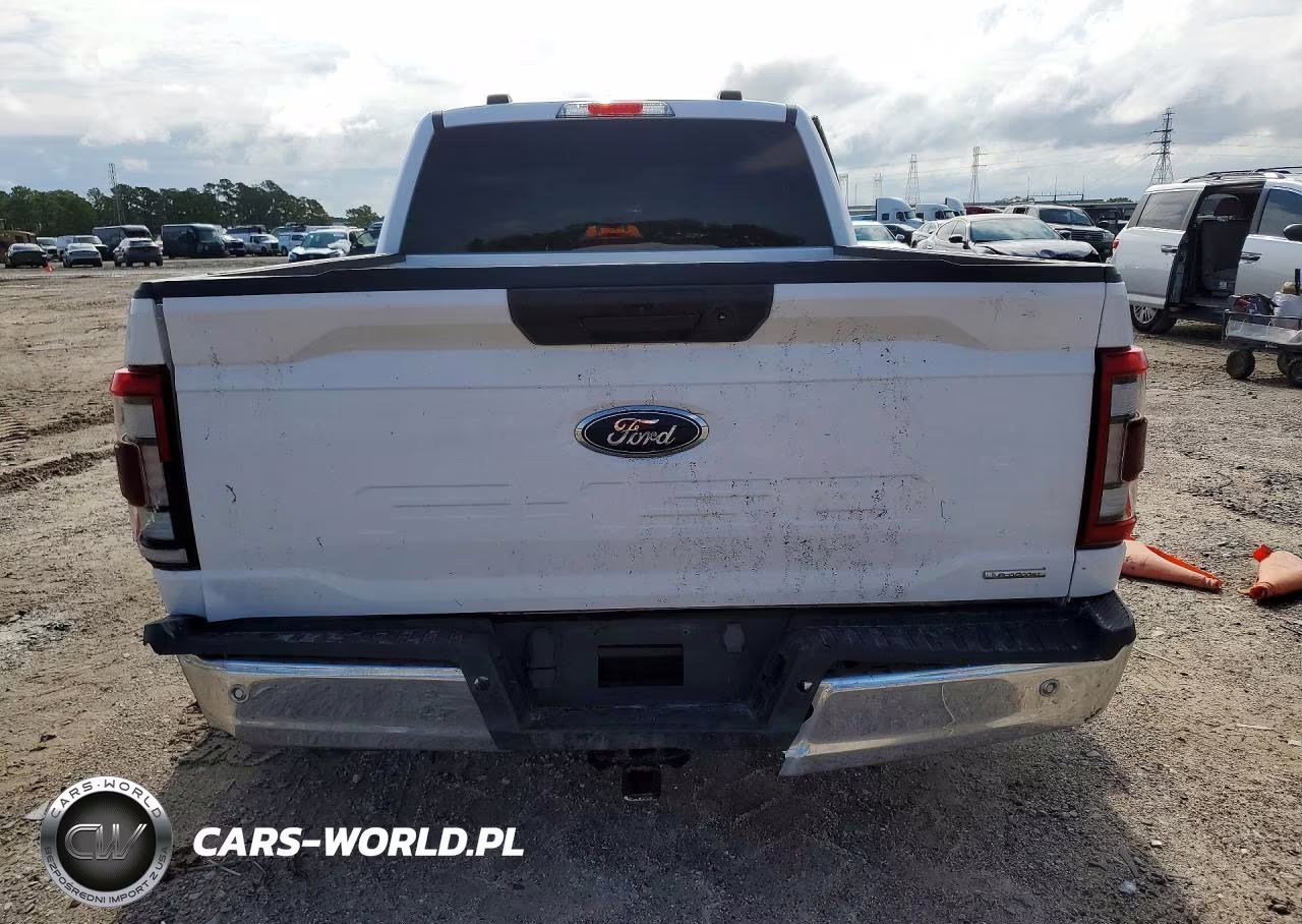 2023 Ford F150 VIN:1FTMF1CPXPKF49802 - 6