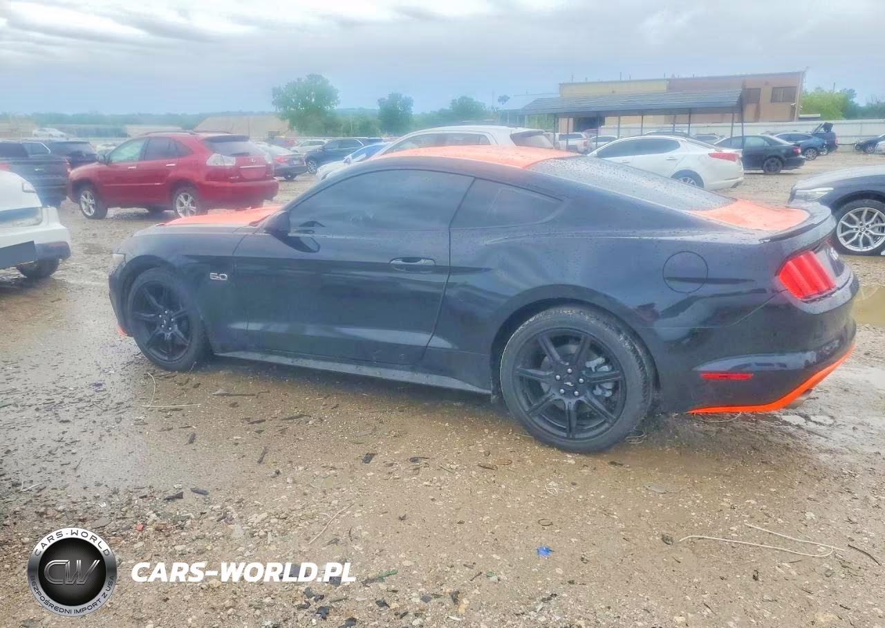 2017 Ford Mustang Gt VIN:1FA6P8CFXH5221369 - 2