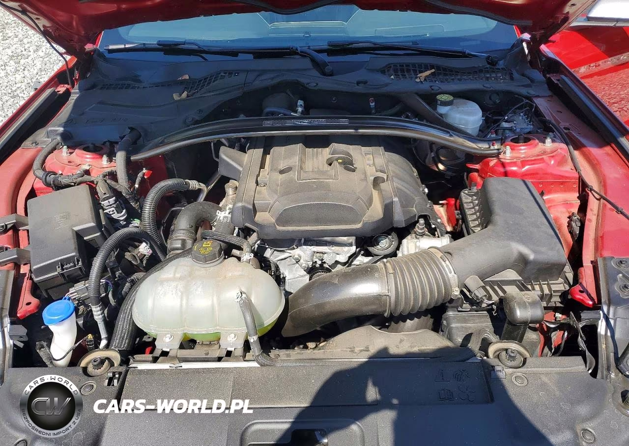 2023 Ford Mustang VIN:1FA6P8TD4P5100043 - 11