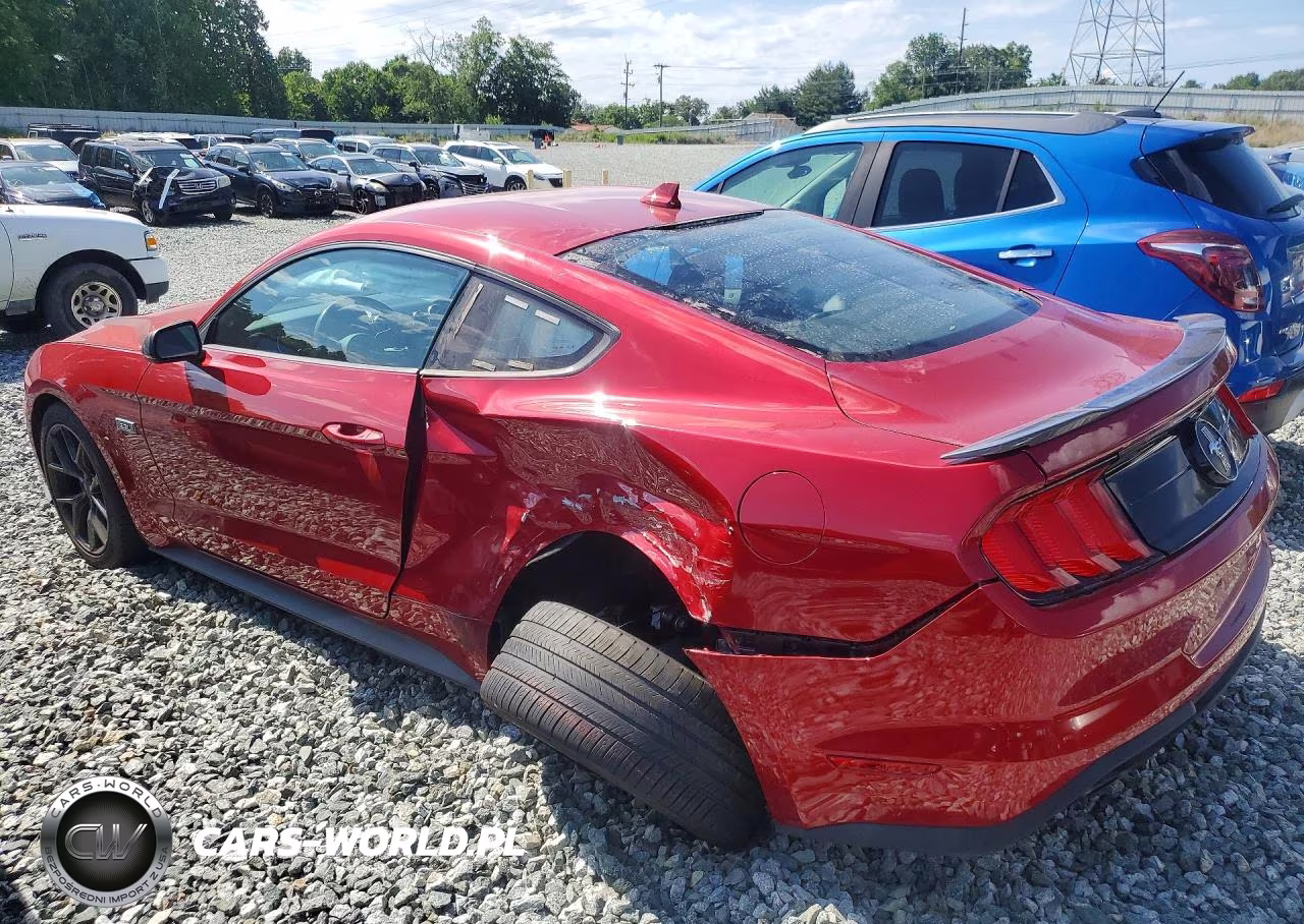 2023 Ford Mustang VIN:1FA6P8TD4P5100043 - 2