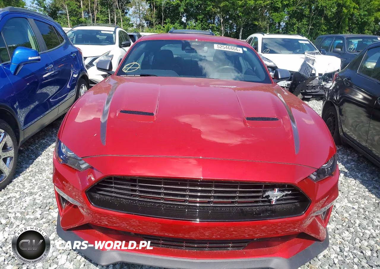 2023 Ford Mustang VIN:1FA6P8TD4P5100043 - 5