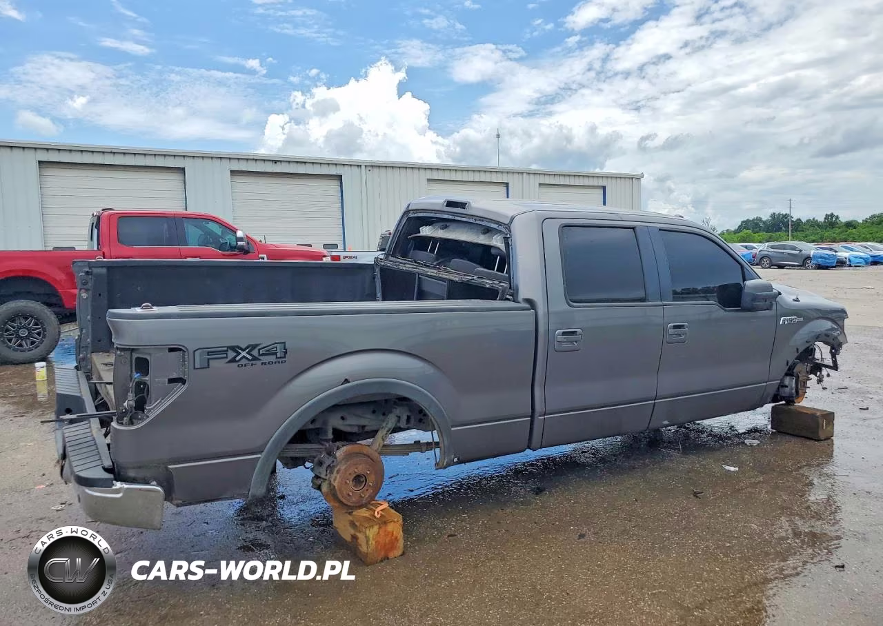 2009 Ford F150 Supercrew VIN:1FTPW14V59FB00212 - 3