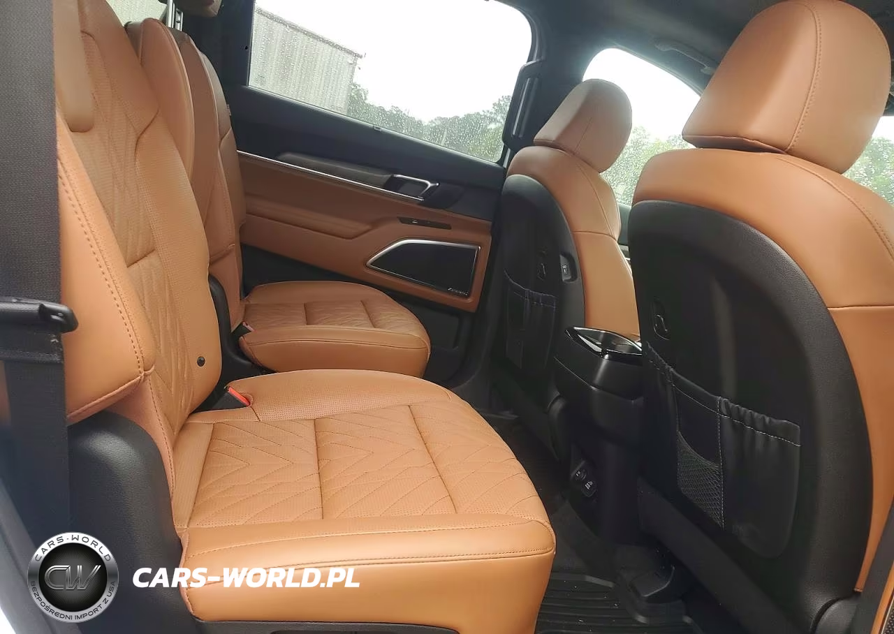 2025 Kia Telluride Sx-Prestige X-Line VIN:5XYP5DGC4SG637820 - 11