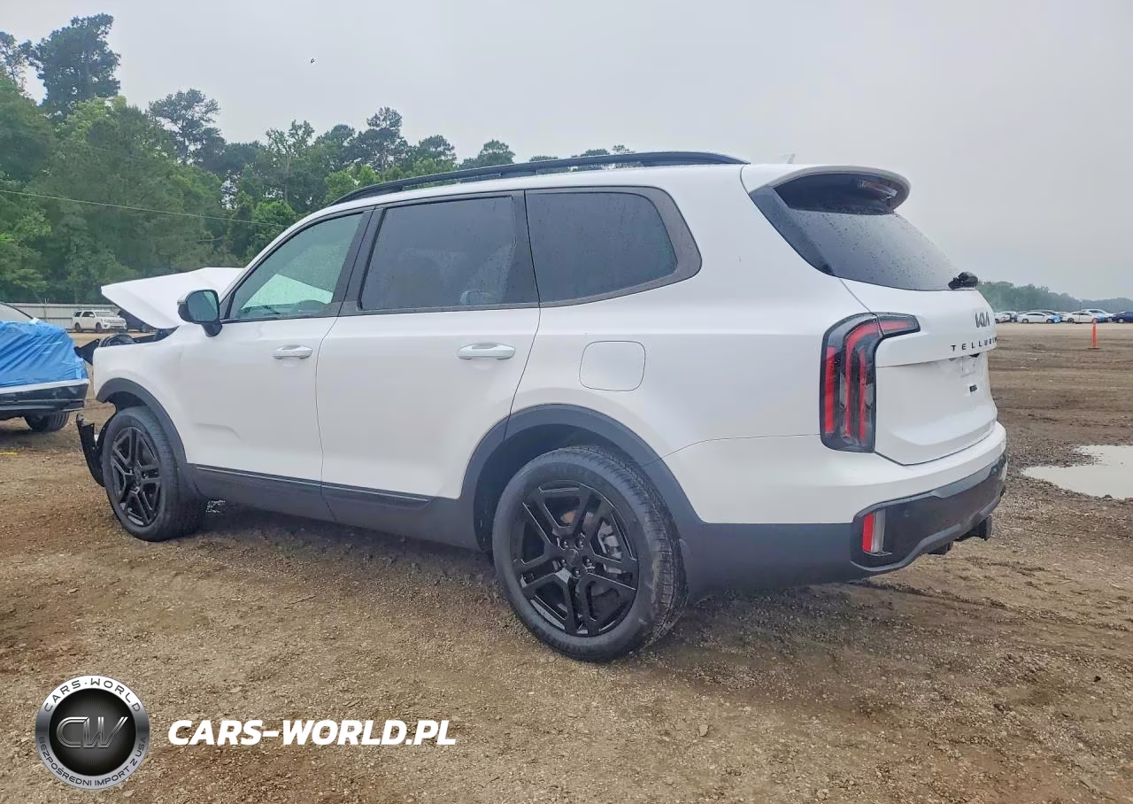2025 Kia Telluride Sx-Prestige X-Line VIN:5XYP5DGC4SG637820 - 2