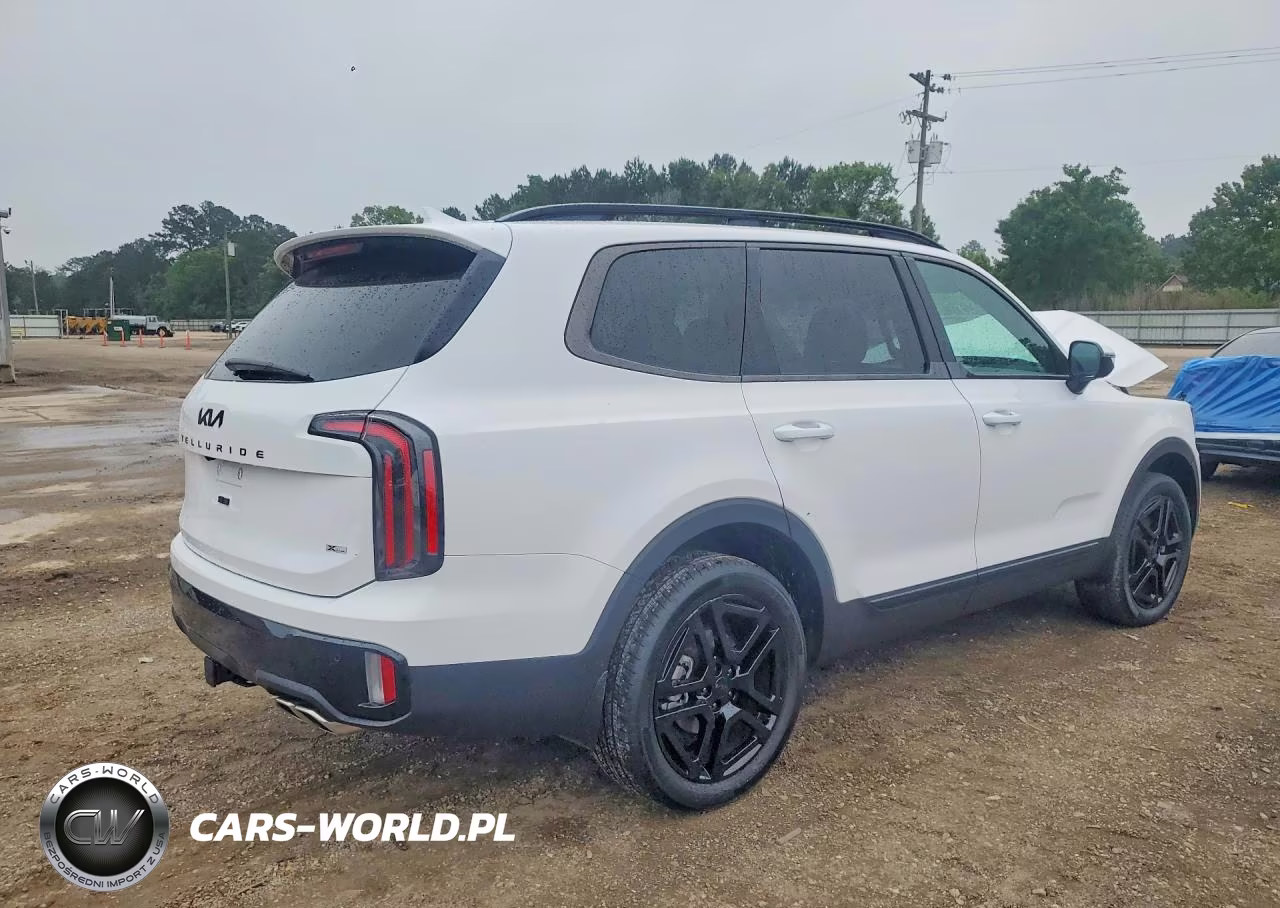 2025 Kia Telluride Sx-Prestige X-Line VIN:5XYP5DGC4SG637820 - 3