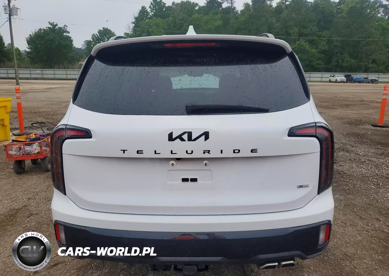 2025 Kia Telluride Sx-Prestige X-Line VIN:5XYP5DGC4SG637820 - 6