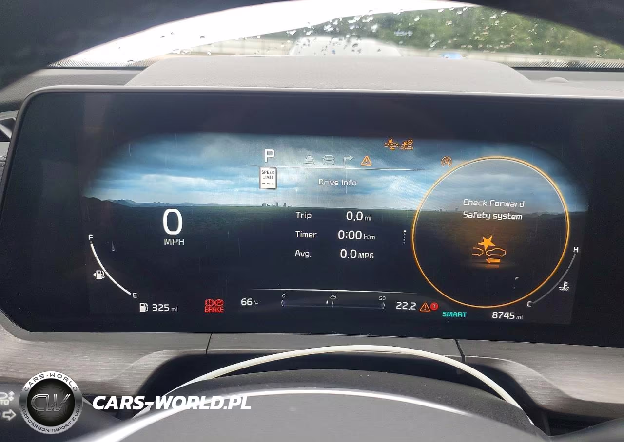 2025 Kia Telluride Sx-Prestige X-Line VIN:5XYP5DGC4SG637820 - 9