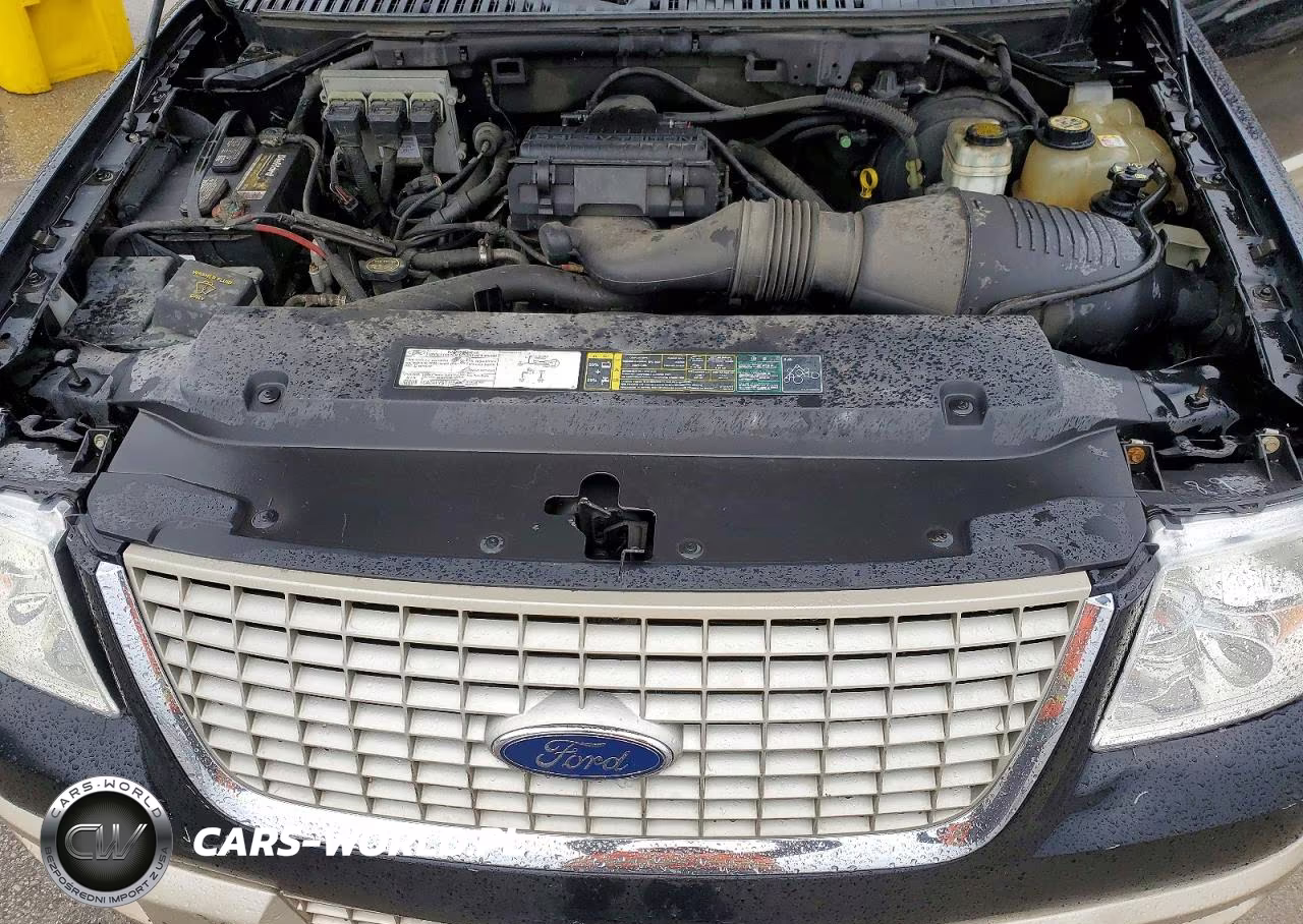2006 Ford Expedition Eddie Bauer VIN:1FMPU17546LA25335 - 12