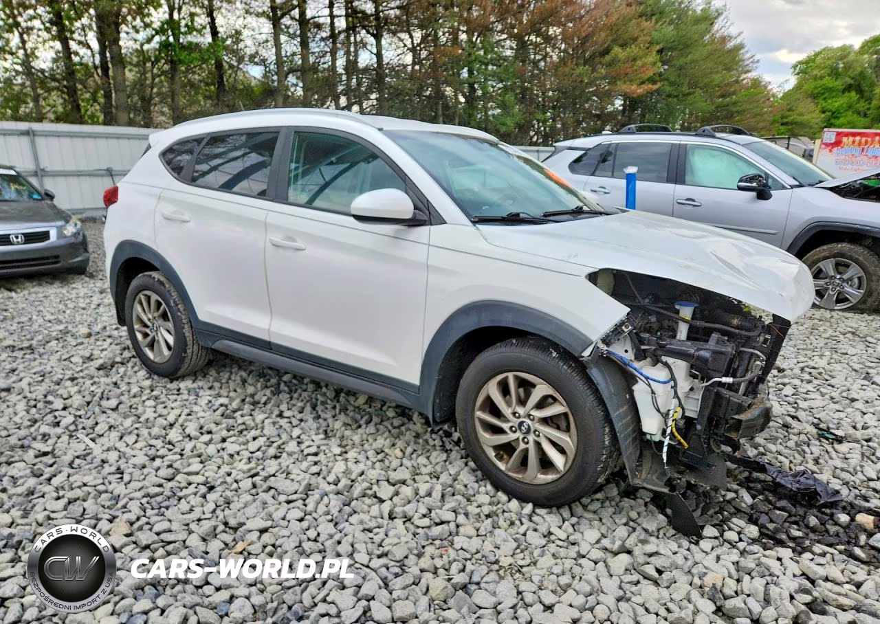 2016 Hyundai Tucson Se VIN:KM8J3CA42GU223055 - 4