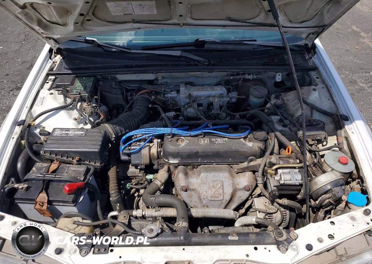 1993 Honda Accord Lx VIN:JHMCB7657PC007974 - 11