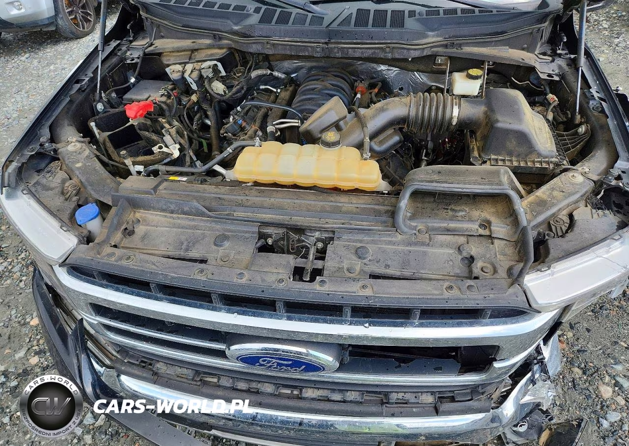 2021 Ford F150 Supercrew VIN:1FTFW1E56MFA71533 - 11