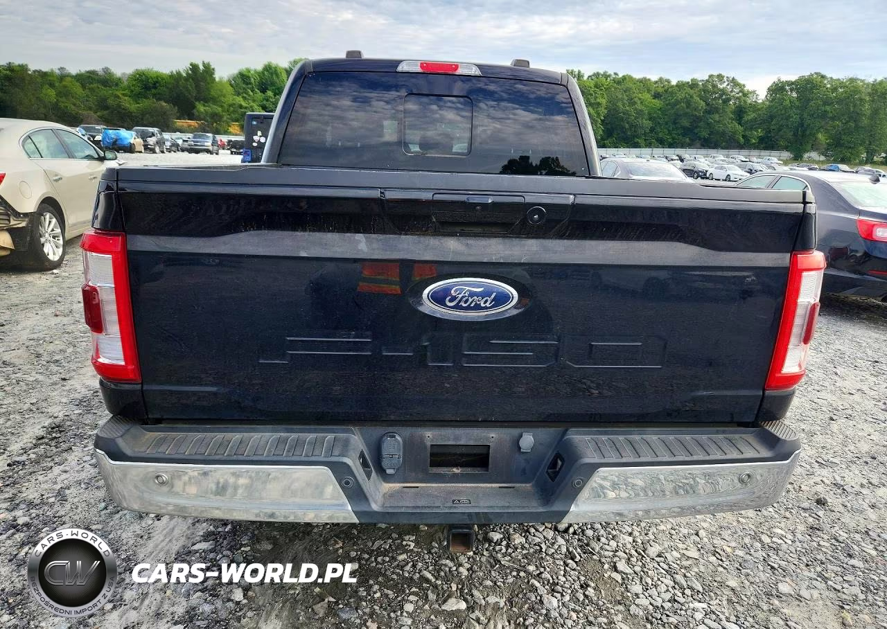 2021 Ford F150 Supercrew VIN:1FTFW1E56MFA71533 - 6