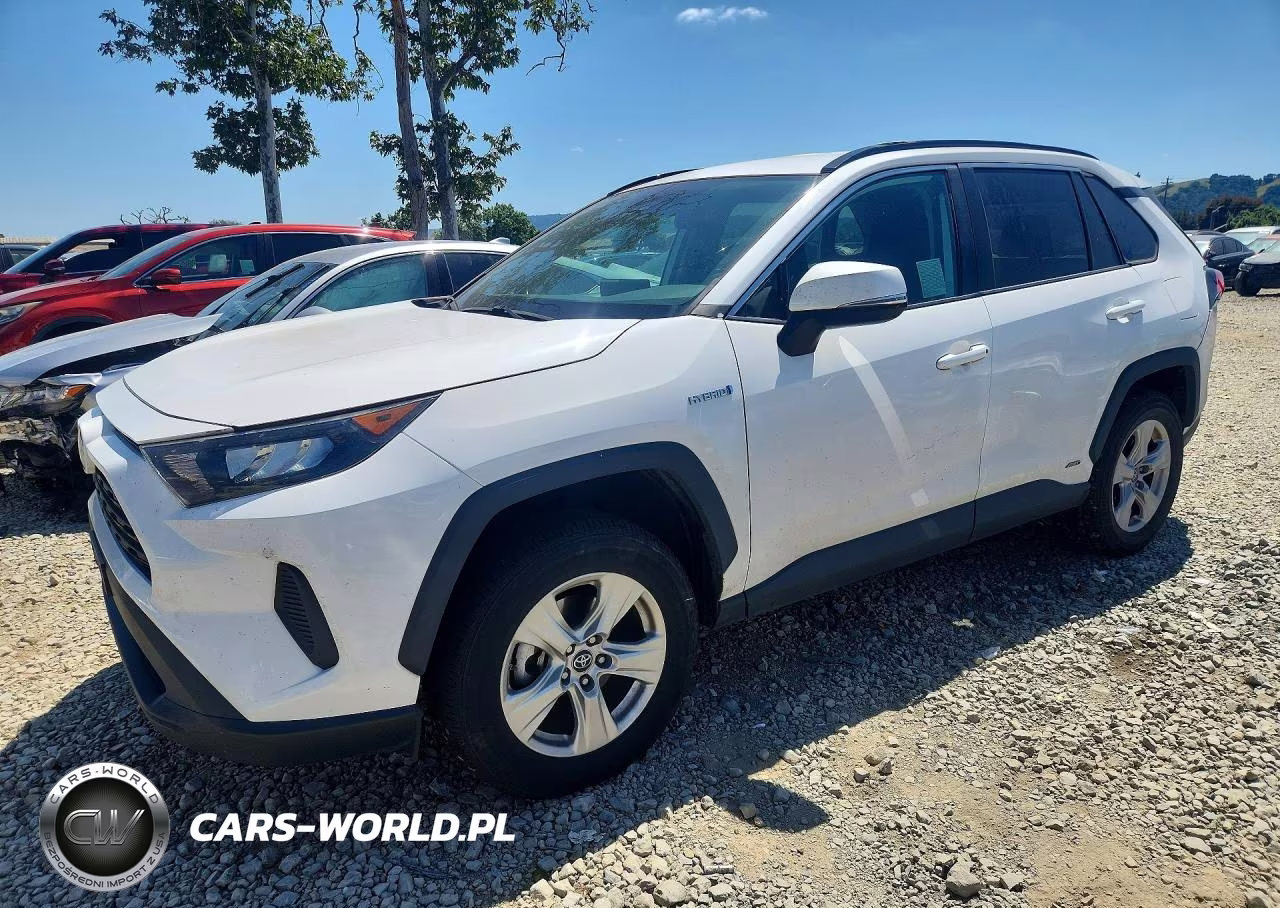 2019 Toyota Rav4 Le