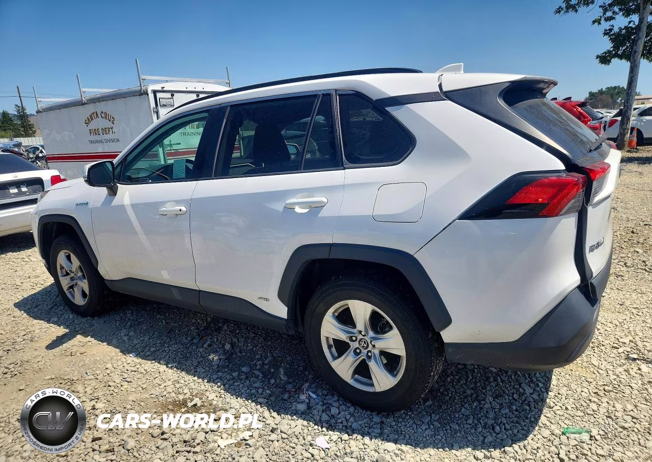 2019 Toyota Rav4 Le VIN:2T3MWRFV5KW038782 - 2