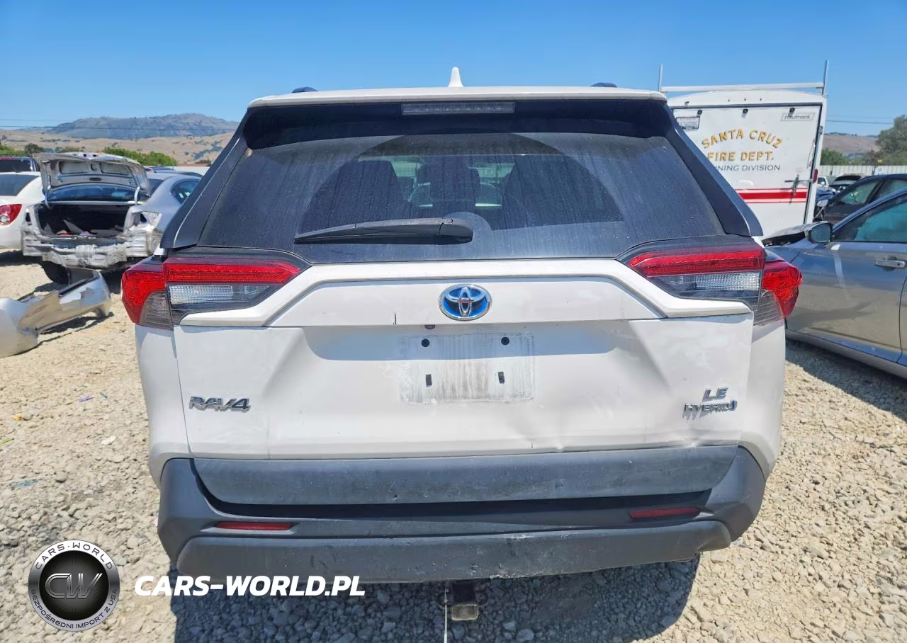 2019 Toyota Rav4 Le VIN:2T3MWRFV5KW038782 - 6